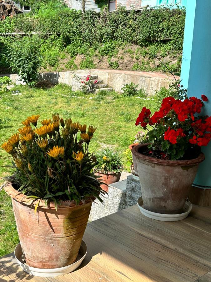 Jal-Vayu Cottages Manāli Eksteriør bilde