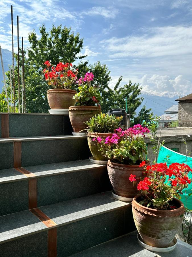 Jal-Vayu Cottages Manāli Eksteriør bilde